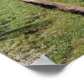 長い道 ポスター (角)