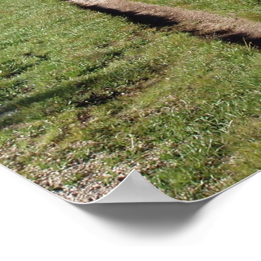 長い道 ポスター (角)