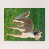 長い髪のウィペット犬ジグサウ。 ジグソーパズル (横)