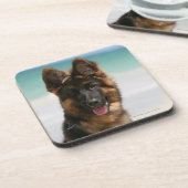 長い髪のジャーマン・シェパードのビーチ コースター (左側)