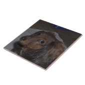 長い髪のダックスフントのセラミックタイル タイル (側面)