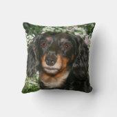 長い髪のダックスフント クッション (裏面)