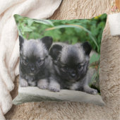 長い髪のチワワの子犬 クッション (ブランケット)