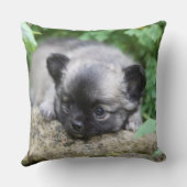 長い髪のチワワの子犬 クッション (裏面)