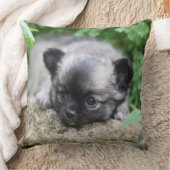 長い髪のチワワの子犬 クッション (ブランケット)