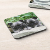 長い髪のチワワの子犬 コースター (左側)