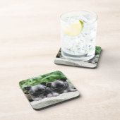 長い髪のチワワの子犬 コースター (右側)