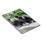 長い髪のチワワの子犬 ノートブック (右側)