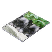 長い髪のチワワの子犬 ノートブック (左側)