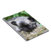 長い髪のチワワの子犬 ノートブック (右側)