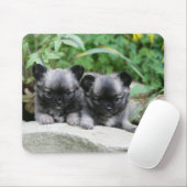 長い髪のチワワの子犬 マウスパッド (マウス)