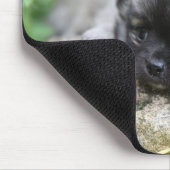長い髪のチワワの子犬 マウスパッド (コーナー)