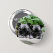 長い髪のチワワの子犬 缶バッジ (正面&裏面)