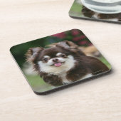 長い髪のチワワのHeadshot 1 コースター (左側)