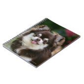 長い髪のチワワのHeadshot 1 ノートブック (左側)