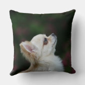 長い髪のチワワのHeadshot 2 クッション (裏面)