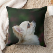 長い髪のチワワのHeadshot 2 クッション (ブランケット)