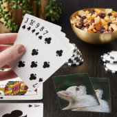 長い髪のチワワのHeadshot 2 トランプ (インサイチュ)