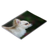 長い髪のチワワのHeadshot 2 ノートブック (左側)