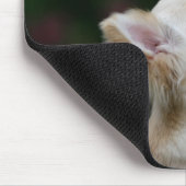 長い髪のチワワのHeadshot 2 マウスパッド (コーナー)