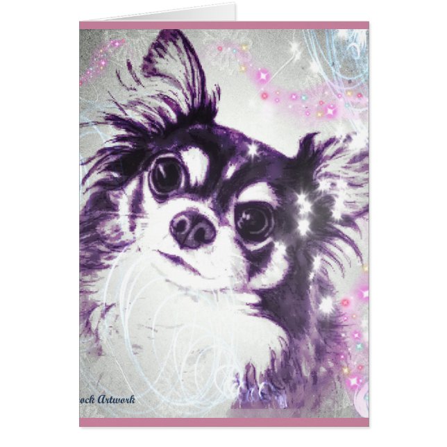 長い髪のチワワ (正面)