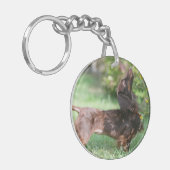 長い髪のミニチュアダックスフント1 キーホルダー (正面左)
