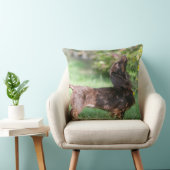 長い髪のミニチュアダックスフント1 クッション (椅子)