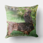 長い髪のミニチュアダックスフント1 クッション (裏面)