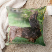 長い髪のミニチュアダックスフント1 クッション (ブランケット)