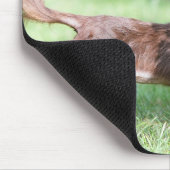 長い髪のミニチュアダックスフント1 マウスパッド (コーナー)