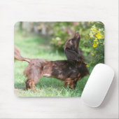 長い髪のミニチュアダックスフント1 マウスパッド (マウス)