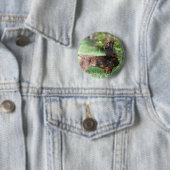 長い髪のミニチュアダックスフント1 缶バッジ (インサイチュ)