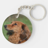 長い髪のミニチュアダックスフント2 キーホルダー (裏面)