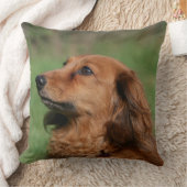 長い髪のミニチュアダックスフント2 クッション (ブランケット)