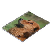 長い髪のミニチュアダックスフント2 ノートブック (左側)