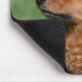 長い髪のミニチュアダックスフント2 マウスパッド (コーナー)