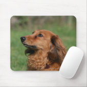 長い髪のミニチュアダックスフント2 マウスパッド (マウス)