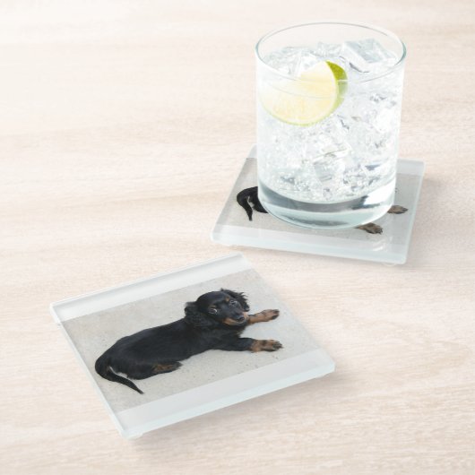 長い髪の毛で覆われた子犬 ガラスコースター (アングル)