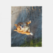 長い髪の茶色および白いチワワのランニング フリースブランケット (正面)