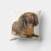 長い髪の金ゴールドのダックスフントの枕 クッション (裏面)