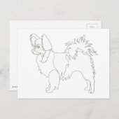 長い髪Chihuahua色と準備ができていカスタマイズる ポストカード (正面/裏面)