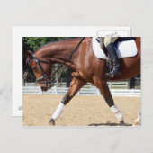 長い、低い ポストカード (正面/裏面)