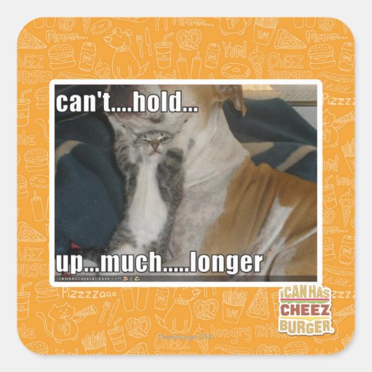 長く持ちこたえられない スクエアシール (正面)