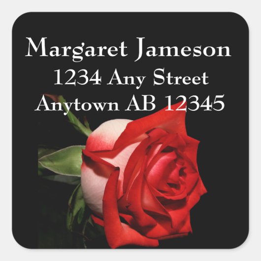 長く止められた赤いバラの結婚式の差出人住所ラベル スクエアシール (正面)