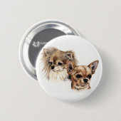 長く、滑らかなコートのチワワ 缶バッジ (正面&裏面)