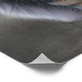 長エレガント毛猫 ポスター (角)