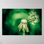 長官 ポスター (正面)