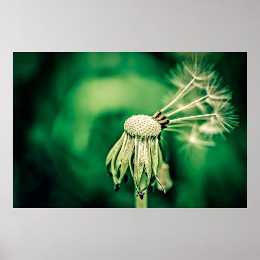 長官 ポスター (正面)