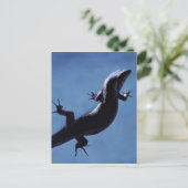 長寿 ポストカード (スタンド正面)