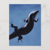 長寿 ポストカード (正面)